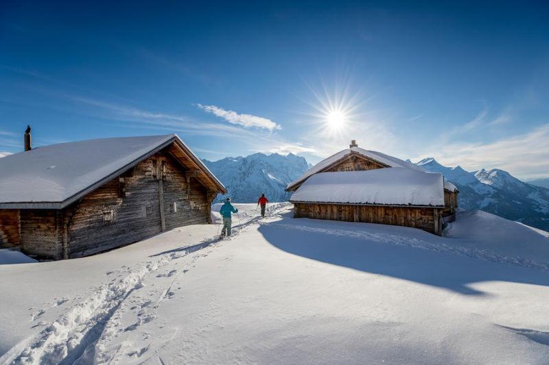 Mountain Lodge Urweider Innertkirchen Exterior photo